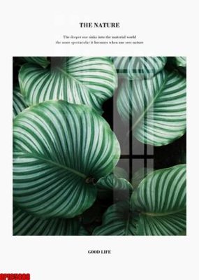 Tải file file tranh bộ decor in treo tường tráng gương OPIC5888 (gốc) in ấn chất lượng