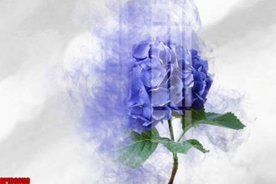 File in trần file tranh bộ decor in treo tường tráng gương OPIC6059 (bản gốc) bầu trời