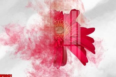 File tranh file tranh bộ decor in treo tường tráng gương OPIC6421 (ảnh gốc) độc quyền