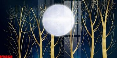 Tải file file tranh bộ decor in treo tường tráng gương OPIC6439 (PSD) cho in tranh 3D