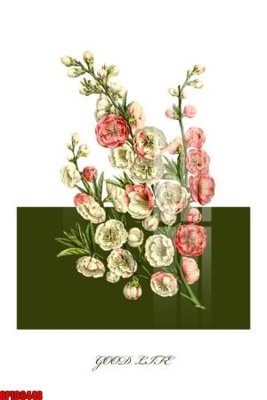 Tải file gốc file tranh bộ decor in treo tường tráng gương OPIC6448 dùng cho in ấn