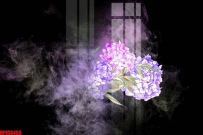 Download file gốc file tranh bộ decor in treo tường tráng gương OPIC6455 (in mica) trong suốt