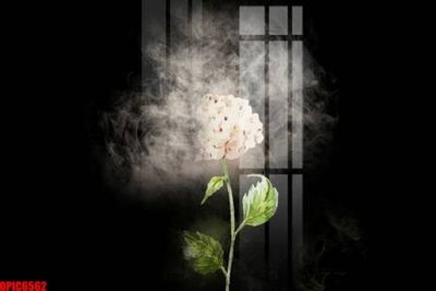 Tải file file tranh bộ decor in treo tường tráng gương OPIC6562 (ảnh gốc) in tranh kính