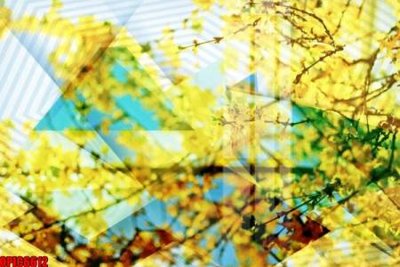 Mua file tranh gốc file tranh bộ decor in treo tường tráng gương OPIC6612 tại Filetranh.com