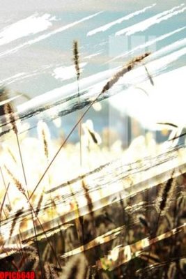 File PSD file tranh bộ decor in treo tường tráng gương OPIC6648 (chất lượng in ấn)