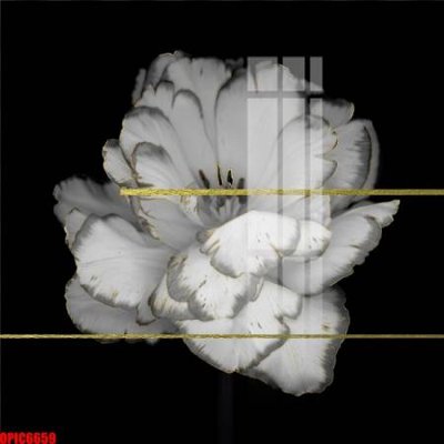 File tranh file tranh bộ decor in treo tường tráng gương OPIC6659 (gốc) in film