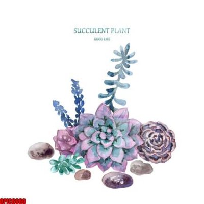 Tải file file tranh bộ decor in treo tường tráng gương OPIC6680 (gốc) in trên mọi chất liệu