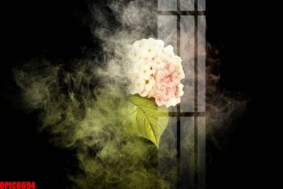 File in trần file tranh bộ decor in treo tường tráng gương OPIC6694 (bản gốc) đại dương