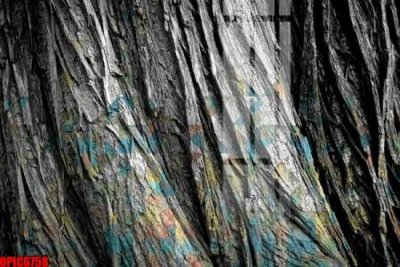 File tranh gốc file tranh bộ decor in treo tường tráng gương OPIC6758 (bản quyền) độc đáo