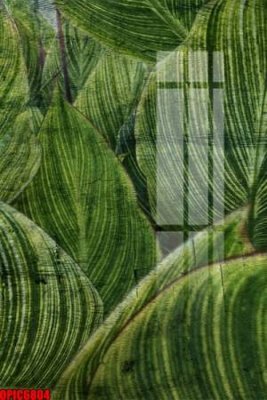 File in mica file tranh bộ decor in treo tường tráng gương OPIC6804 (bản gốc) siêu trong