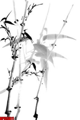 File gốc file tranh bộ decor in treo tường tráng gương OPIC6811 (AI/EPS) cho in ấn