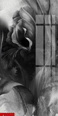 File in ấn file tranh bộ decor in treo tường tráng gương OPIC6828 (bản gốc) chất lượng cao