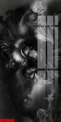 File tranh gốc file tranh bộ decor in treo tường tráng gương OPIC6841 (bản đẹp) độc quyền