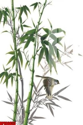 Download file file tranh bộ decor in treo tường tráng gương OPIC6853 (chuẩn in) file tranh bộ decor in treo tường tráng gương OPIC6853