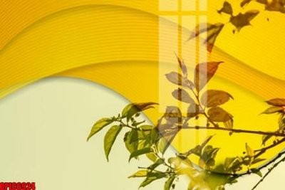 File gốc file tranh bộ decor in treo tường tráng gương OPIC6924 (in lụa) tranh phong thủy