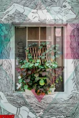 File in mica file tranh bộ decor in treo tường tráng gương OPIC6927 (bản gốc) làm vách ngăn