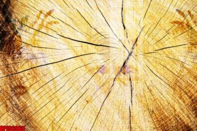 File in ấn file tranh bộ decor in treo tường tráng gương OPIC6969 (bản gốc) từ file gốc