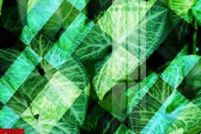 File in trần file tranh bộ decor in treo tường tráng gương OPIC6981 (bản gốc) đại dương