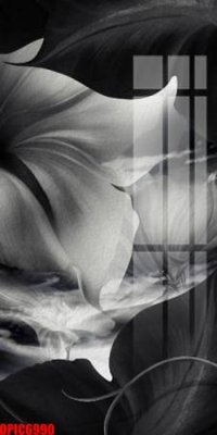 Hình ảnh gốc file tranh bộ decor in treo tường tráng gương OPIC6990 (để in khổ lớn)