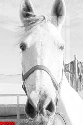 Tải file file tranh bộ decor in treo tường tráng gương OPIC7051 (PSD) cho in tranh 3D