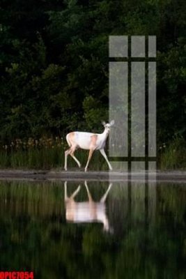 File gốc file tranh bộ decor in treo tường tráng gương OPIC7054 (phong cách) tối giản