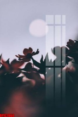 File tranh gốc file tranh bộ decor in treo tường tráng gương OPIC7060 chủ đề hiện đại