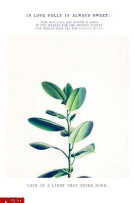 Download file ảnh gốc file tranh bộ decor in treo tường tráng gương OPIC7329 để in ấn