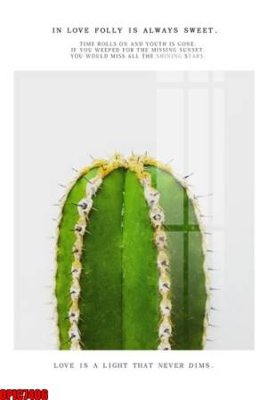 Ảnh gốc file tranh bộ decor in treo tường tráng gương OPIC7406 (độ nét cao) in mica