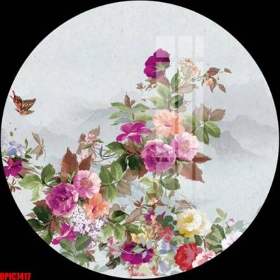 File in trần file tranh bộ decor in treo tường tráng gương OPIC7417 (file gốc) hoa văn 3D