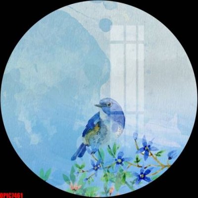 File tranh file tranh bộ decor in treo tường tráng gương OPIC7461 (bản gốc) in lụa 3D