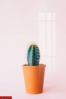 File ảnh file tranh bộ decor in treo tường tráng gương OPIC7625 (gốc) cho trang trí nhà hàng