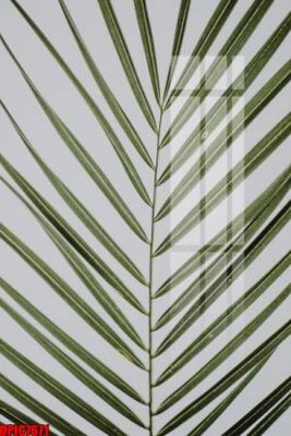 File in trần file tranh bộ decor in treo tường tráng gương OPIC7671 (file gốc) hoa văn 3D