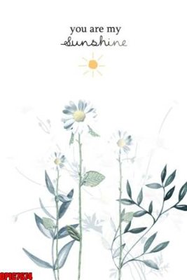 File tranh gốc file tranh bộ decor in treo tường tráng gương OPIC7674 (bản quyền) file PSD