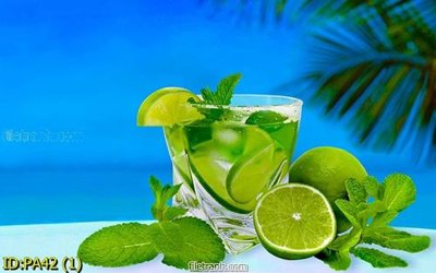 Tải file File tranh phòng ăn PA42 (gốc) chủ đề hoa sen