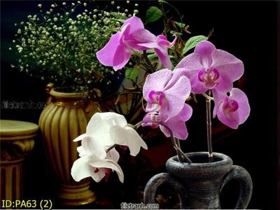 File tranh File tranh phòng ăn PA63 (ảnh gốc) chi tiết rõ ràng