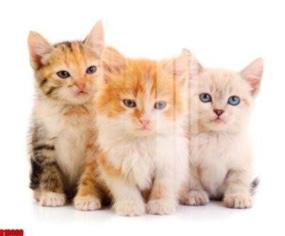 Tệp tin gốc file tranh in treo tường file decor tổng hợp R10090 (dùng cho in ấn) chuyên nghiệp