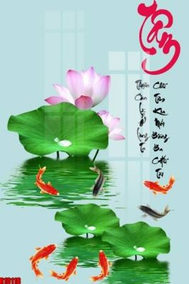 File tranh file tranh in treo tường file decor tổng hợp R10118 (ảnh gốc) sắc nét hoàn hảo