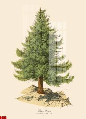 File tranh gốc file tranh in treo tường file decor tổng hợp R105 chủ đề hiện đại