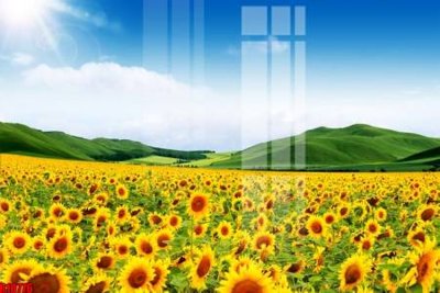 File tranh file tranh in treo tường file decor tổng hợp R10776 (gốc) chủ đề thành phố