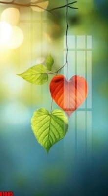 File tranh quảng cáo file tranh in treo tường file decor tổng hợp R1085 (file gốc) chuyên nghiệp