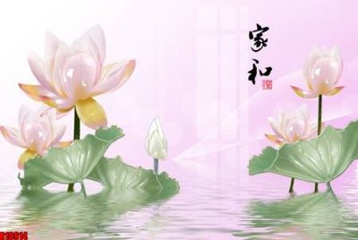 File gốc file tranh in treo tường file decor tổng hợp R10914 (ảnh chi tiết) để in trần