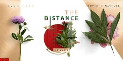 File in trần file tranh in treo tường file decor tổng hợp R11120 (bản gốc) hoa văn