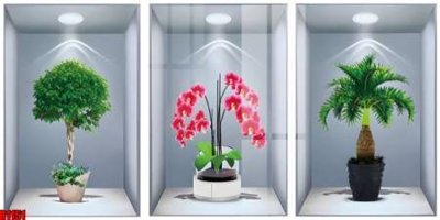 File tranh trang trí file tranh in treo tường file decor tổng hợp R1151 (file gốc)