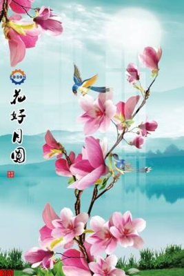 File in mica file tranh in treo tường file decor tổng hợp R131 (ảnh gốc) đẹp