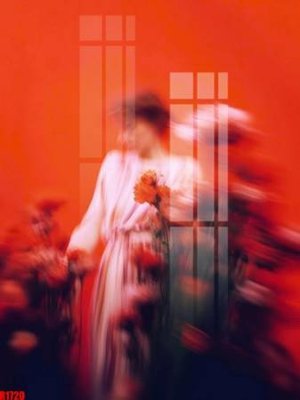 File tranh file tranh in treo tường file decor tổng hợp R1720 (ảnh gốc) in trần xuyên sáng