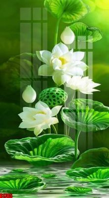 File tranh gốc file tranh in treo tường file decor tổng hợp R1785 chủ đề hiện đại