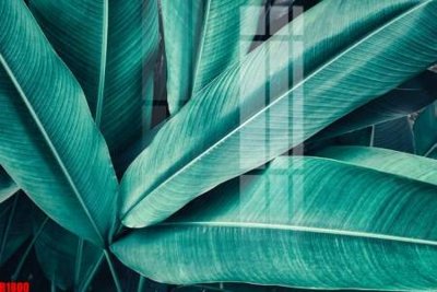 File ảnh file tranh in treo tường file decor tổng hợp R1800 (gốc) in Hiflex