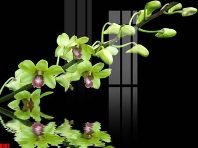 Download file gốc file tranh in treo tường file decor tổng hợp R187 (dùng cho in ấn)