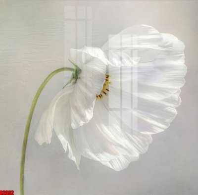 Download file file tranh in treo tường file decor tổng hợp R2092 (gốc) in mica bàn thờ