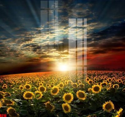 File gốc file tranh in treo tường file decor tổng hợp R216 (ảnh rõ nét) để in